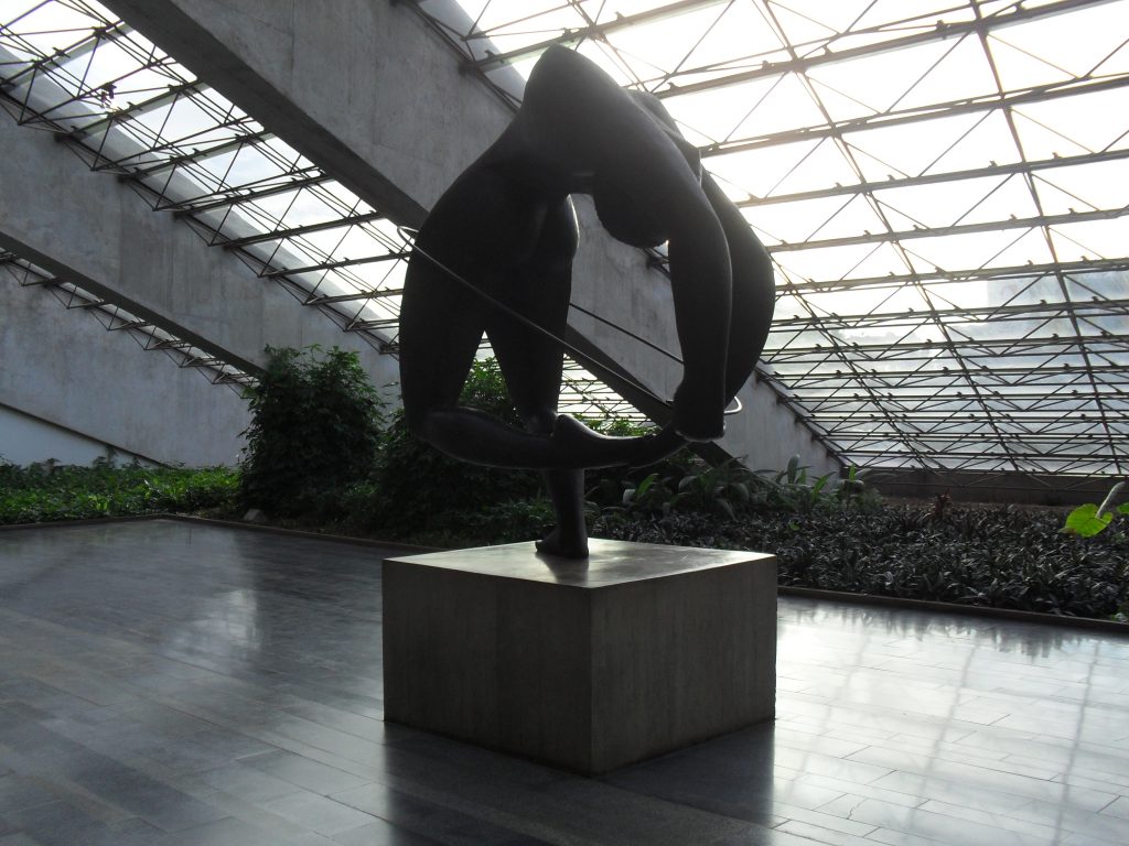 "A Contorcionista" - Escultura de  Alfredo Ceschiatti,1952; instalada na antecâmara Villa-Lobos, sala do Teatro Nacional Cláudio Santoro National Theater, Brasília em 1980.
Contorcionistas são exemplos de pessoas com hipermobilidade articular